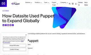 Preview of the Datasite Case Study