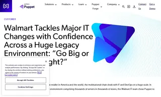 Preview of the Walmart Case Study
