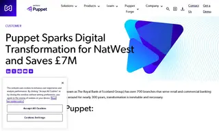 Preview of the NatWest Group Case Study