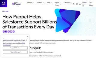 Preview of the Salesforce Case Study
