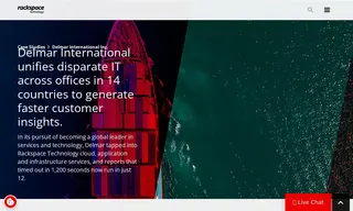 Preview of the Delmar International Inc. Case Study