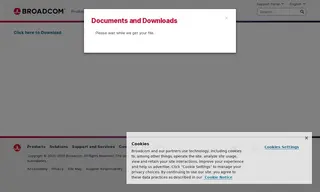 Preview of the Large Financial Institution in Australia Case Study
