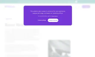 Preview of the Razor Motor Inc Case Study