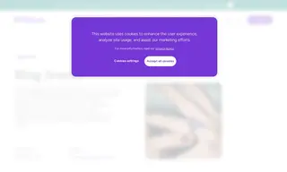 Preview of the Bling Jewelry Case Study