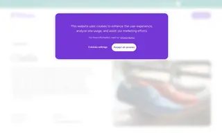 Preview of the Clarks Case Study