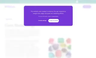 Preview of the Gem Stone King Case Study
