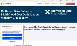 Preview of the Raiffeisen Bank International (rbi) Case Study